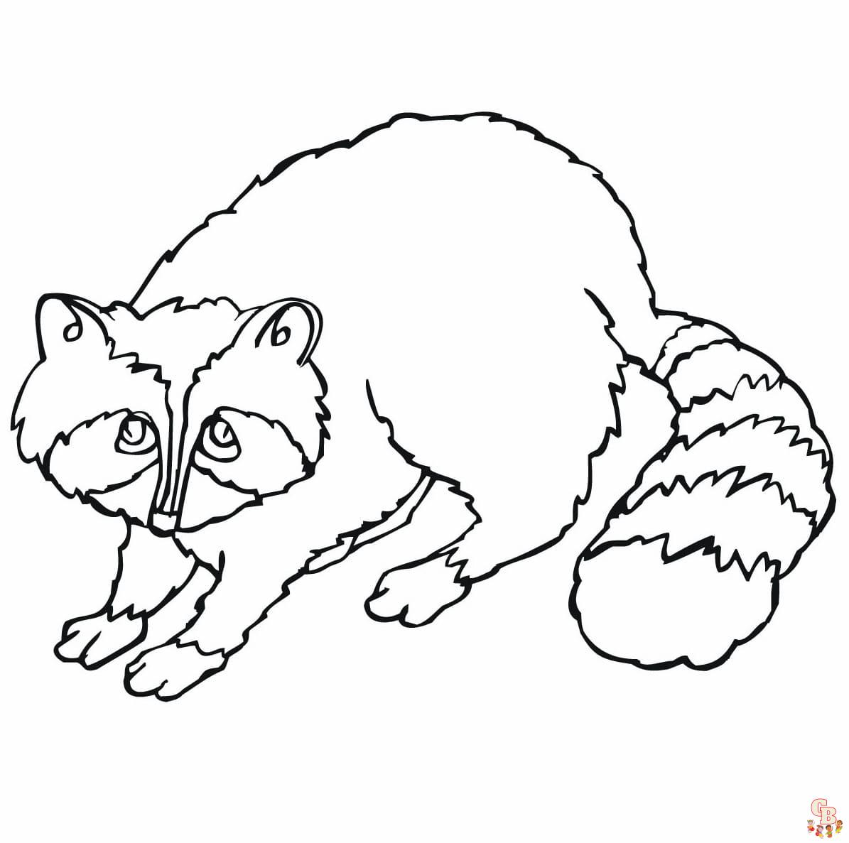 Racoon Coloring Pages