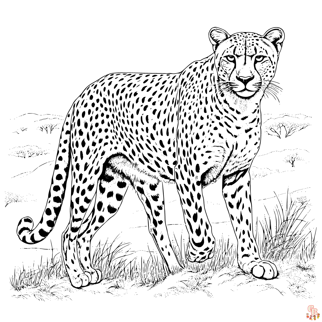 realistic cheetah coloring pages