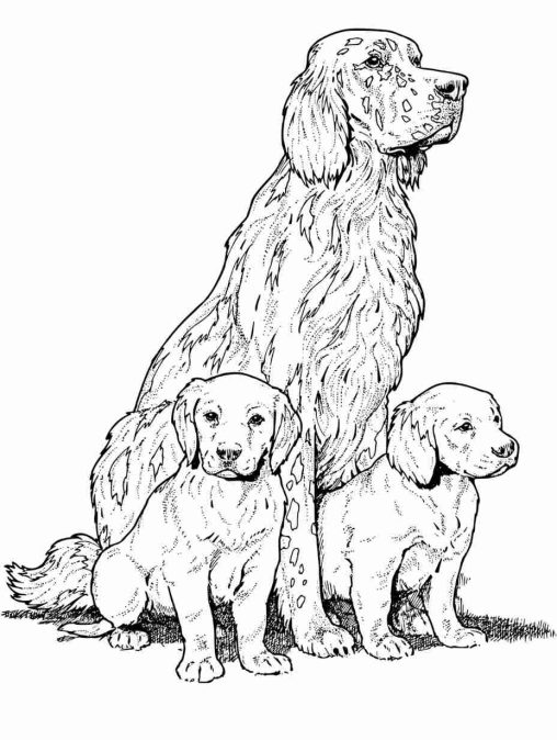 Dogs coloring pages to print - GBcoloring