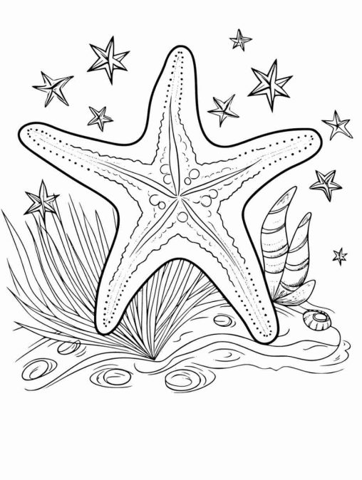 Fish Coloring Pages: Free, Printable, and Fun for Kids!