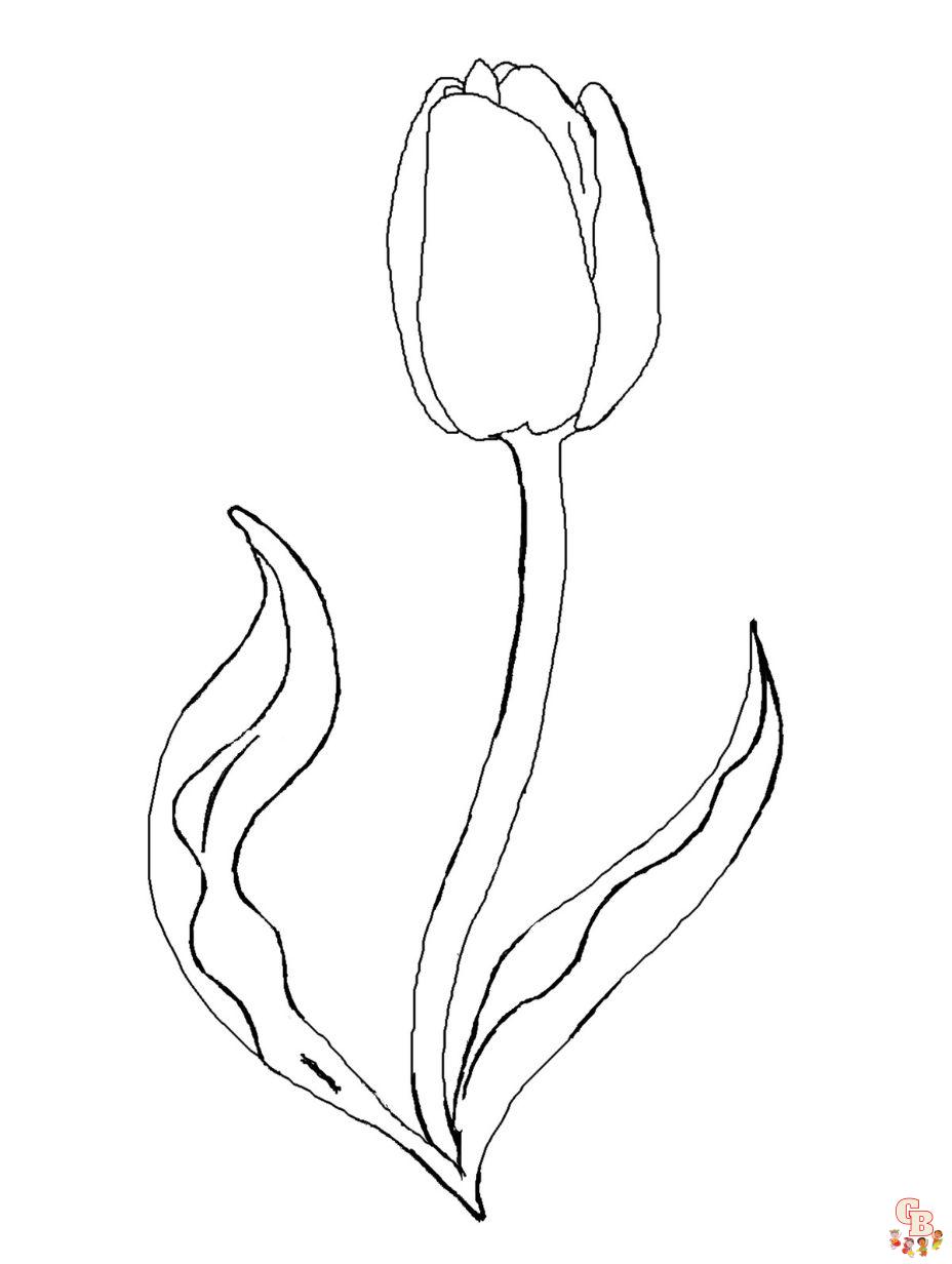 tulip flower coloring page