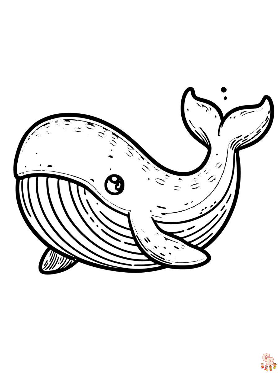 whale coloring pages free