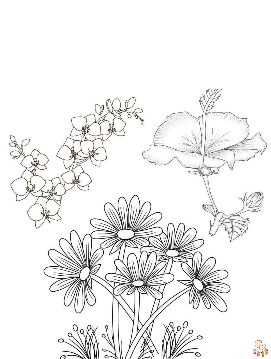 wild flower coloring pages