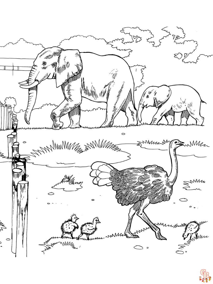 wildlife coloring pages
