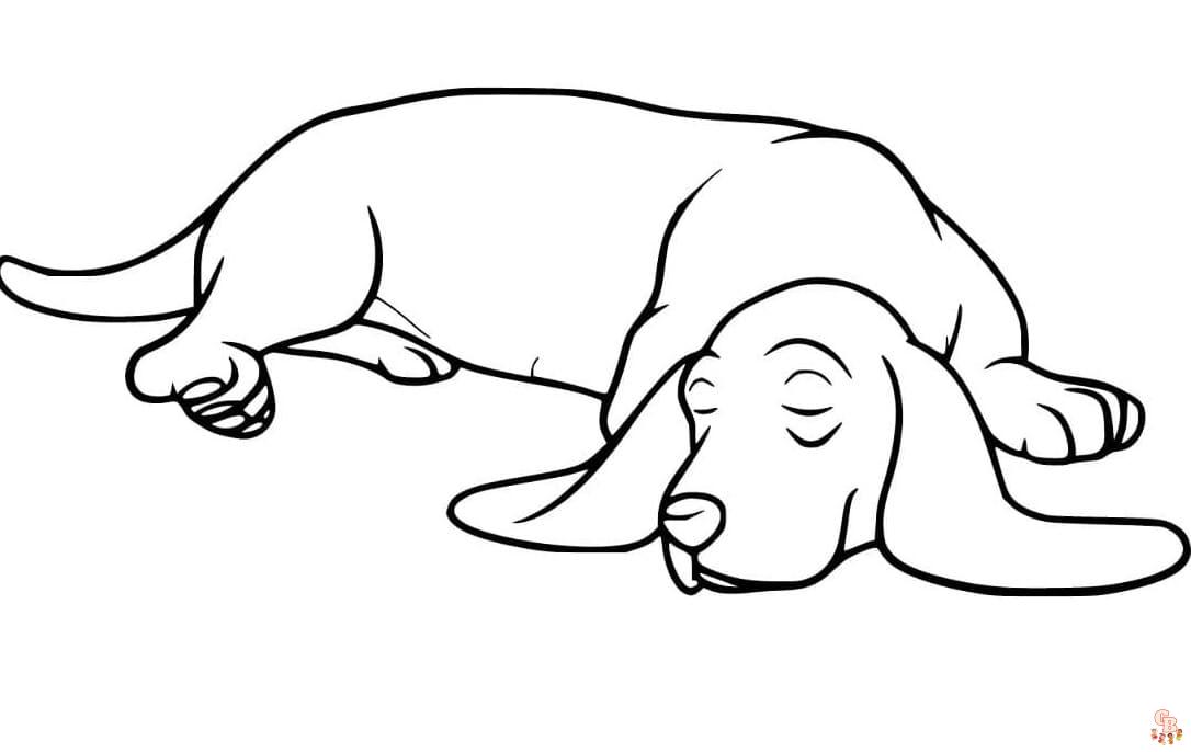 Basset Hound Coloring Sheets Free