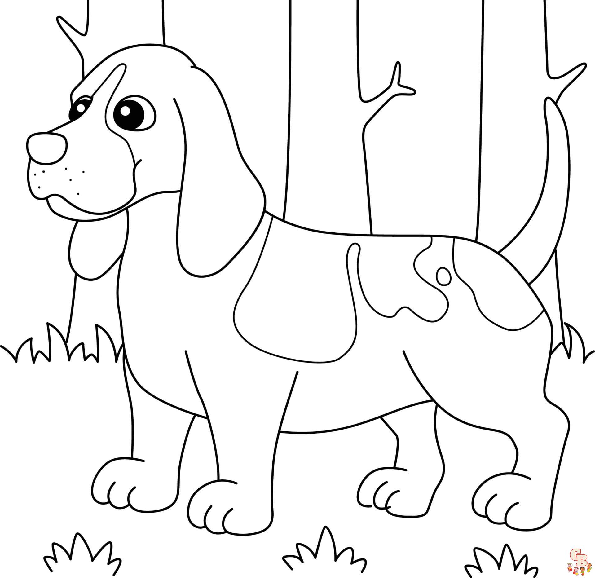 Basset Hound coloring pages free