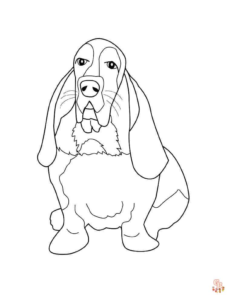 Basset Hound coloring pages printable free