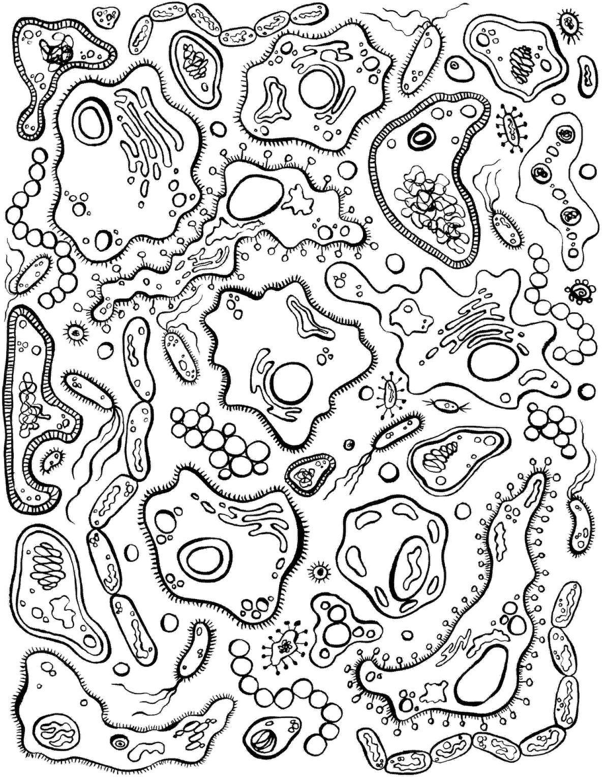 Printable Biology Coloring Pages Free For Kids And Adults