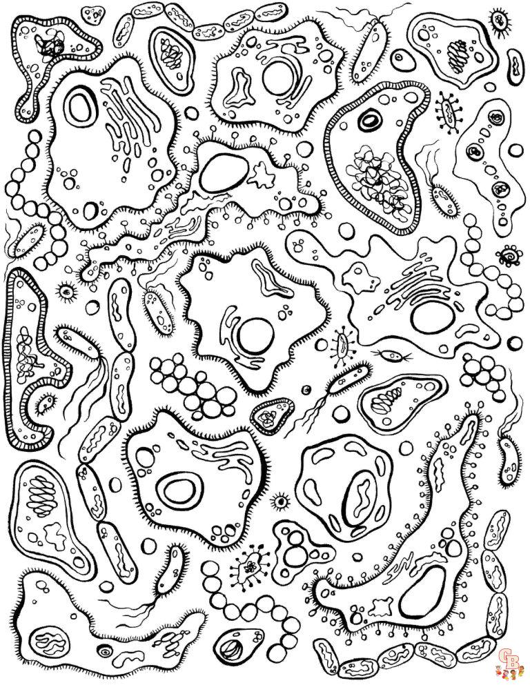 Printable Biology Coloring Pages Free For Kids And Adults