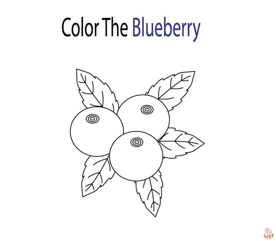 Blueberry Coloring Sheets