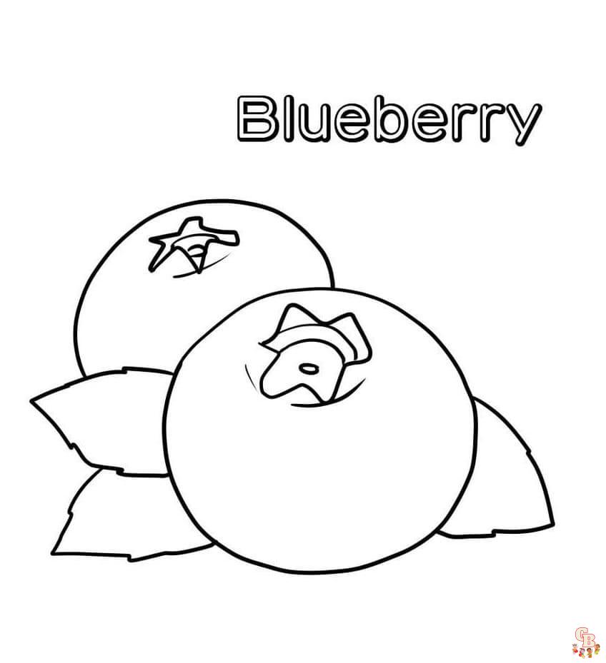 Blueberry coloring pages printable free