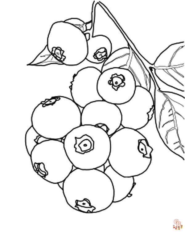 Blueberry coloring pages printable