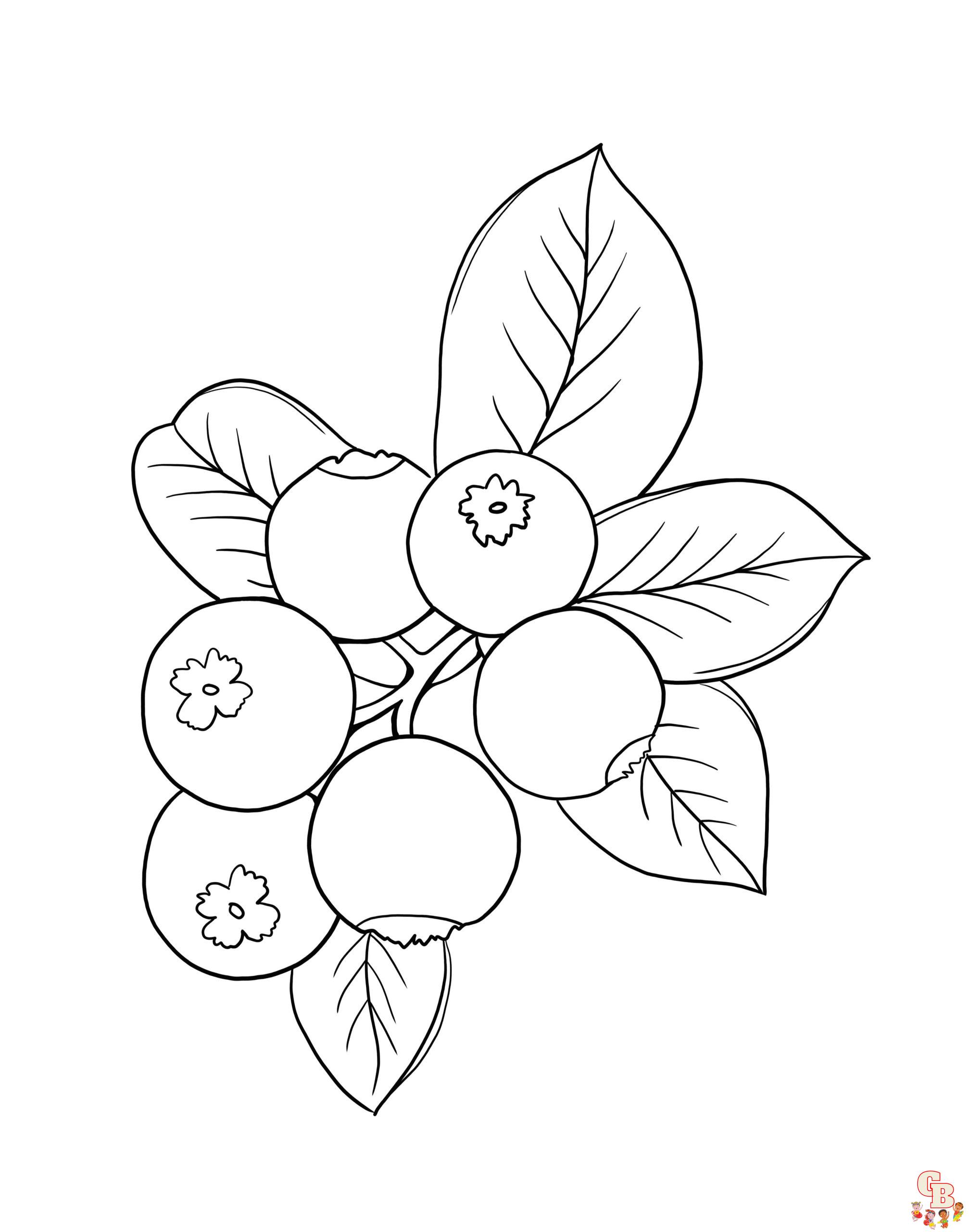 Blueberry coloring pages to print