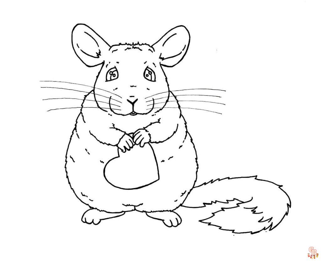 Chinchilla coloring pages printable