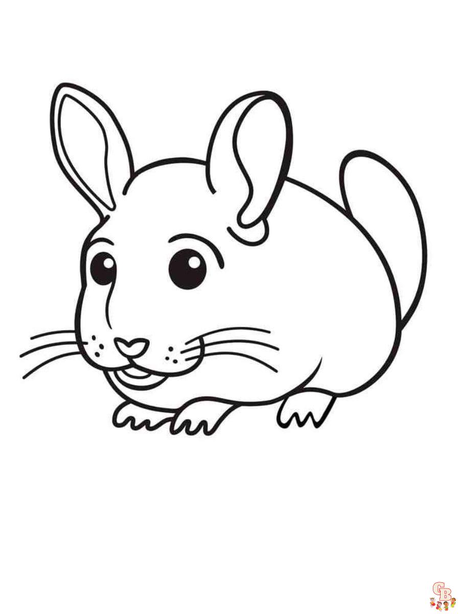 Chinchilla coloring pages