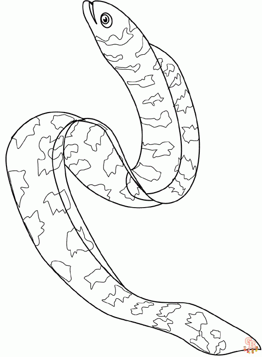 Eel coloring pages free