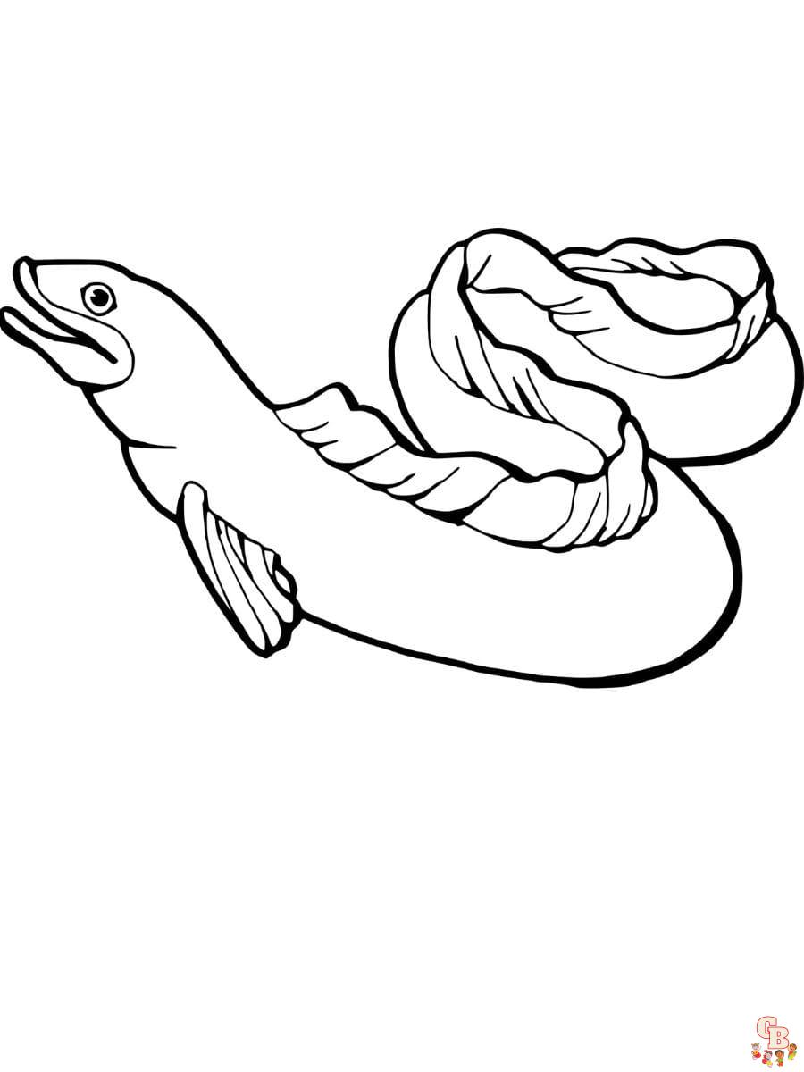 Eel coloring pages