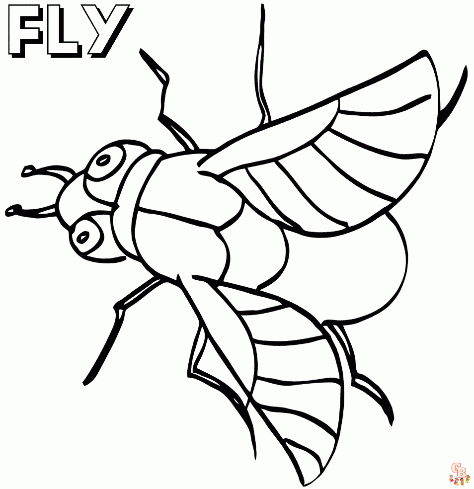 Fly coloring pages free