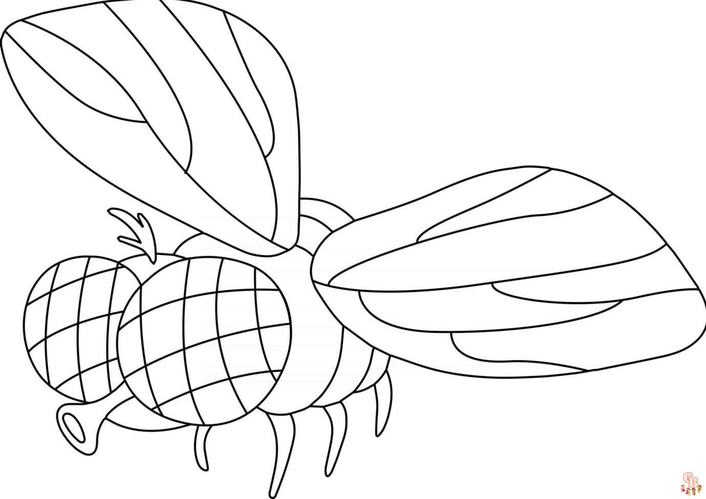 Fly coloring pages printable