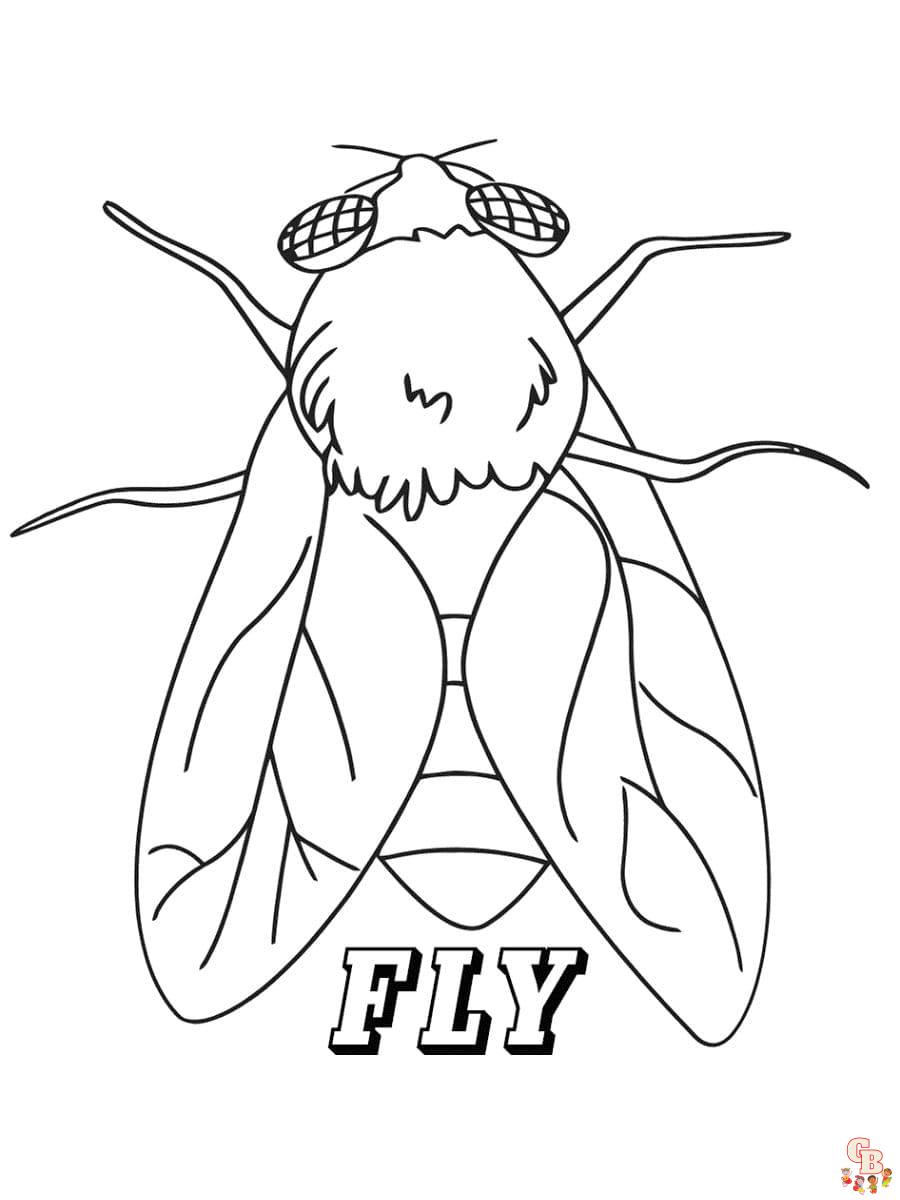 Fly coloring pages