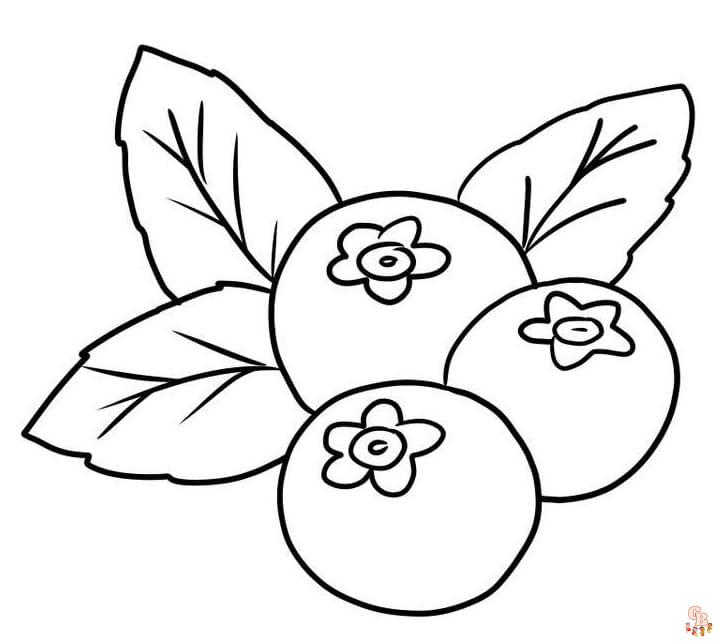 Free Blueberry coloring pages for kids