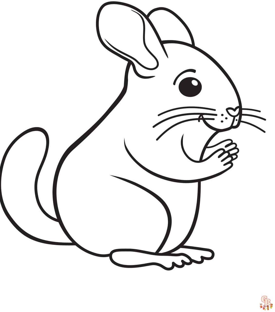 Free Chinchilla coloring pages for kids