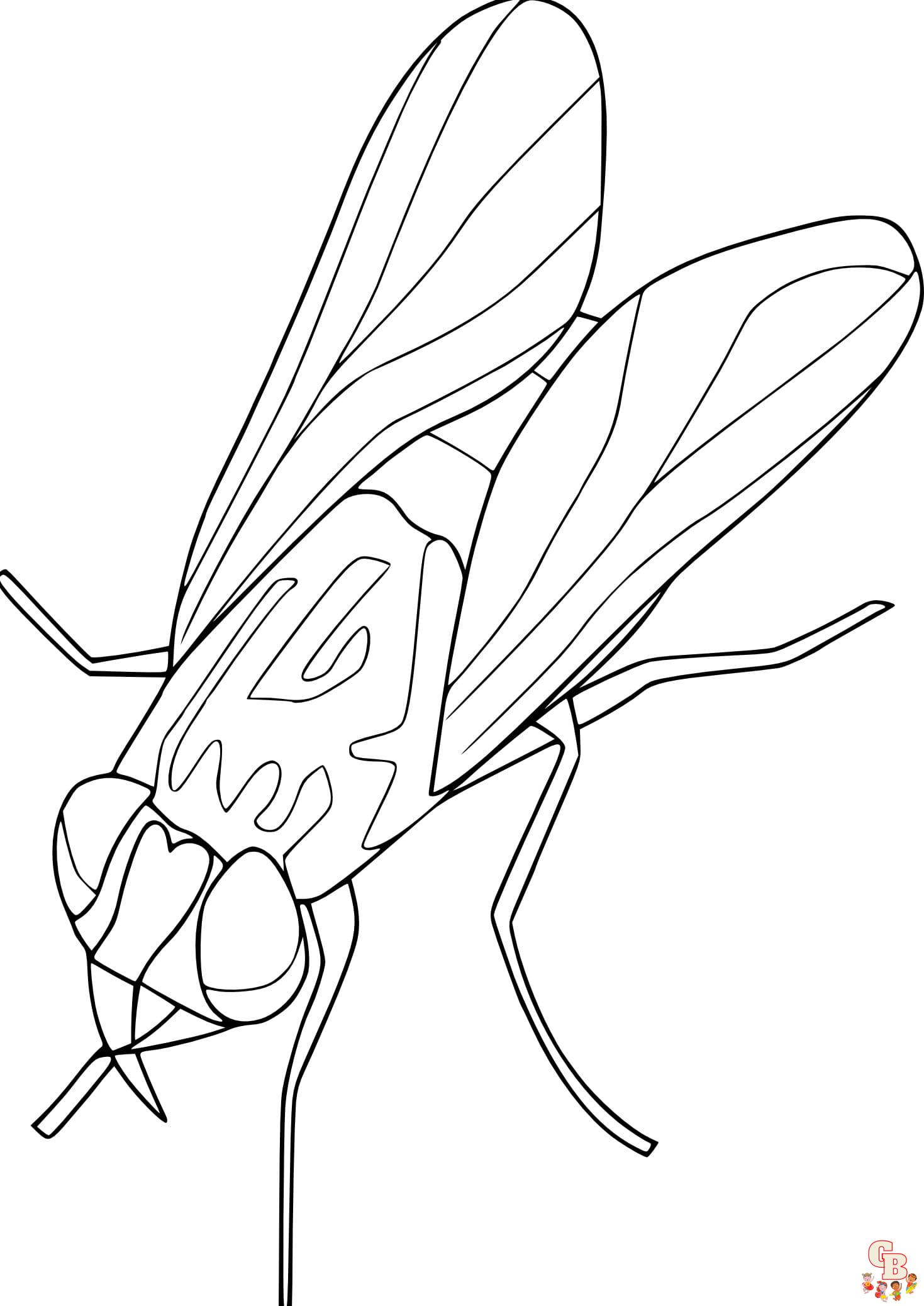 Free Fly coloring pages for kids