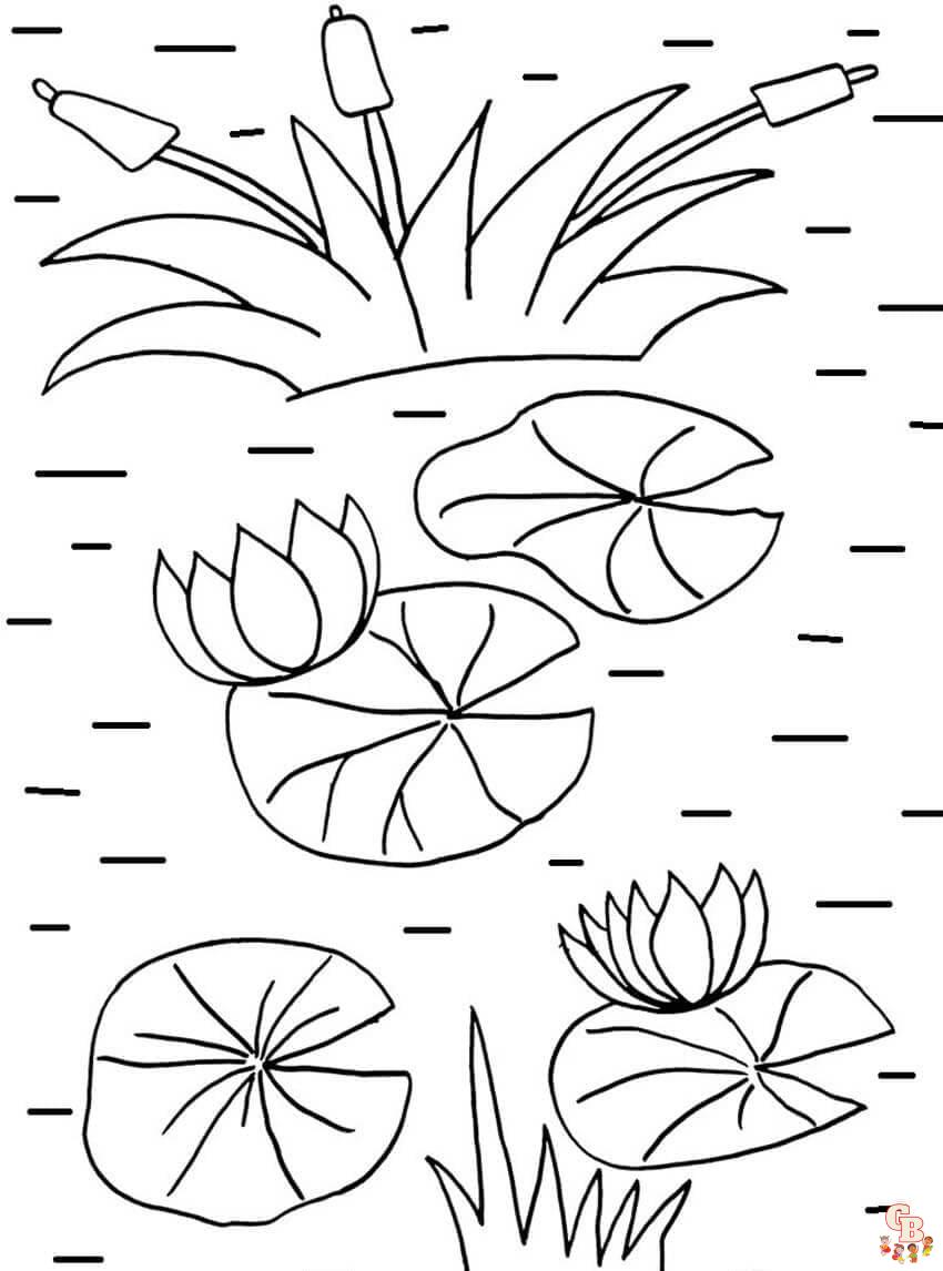Free lily pads coloring pages for kids