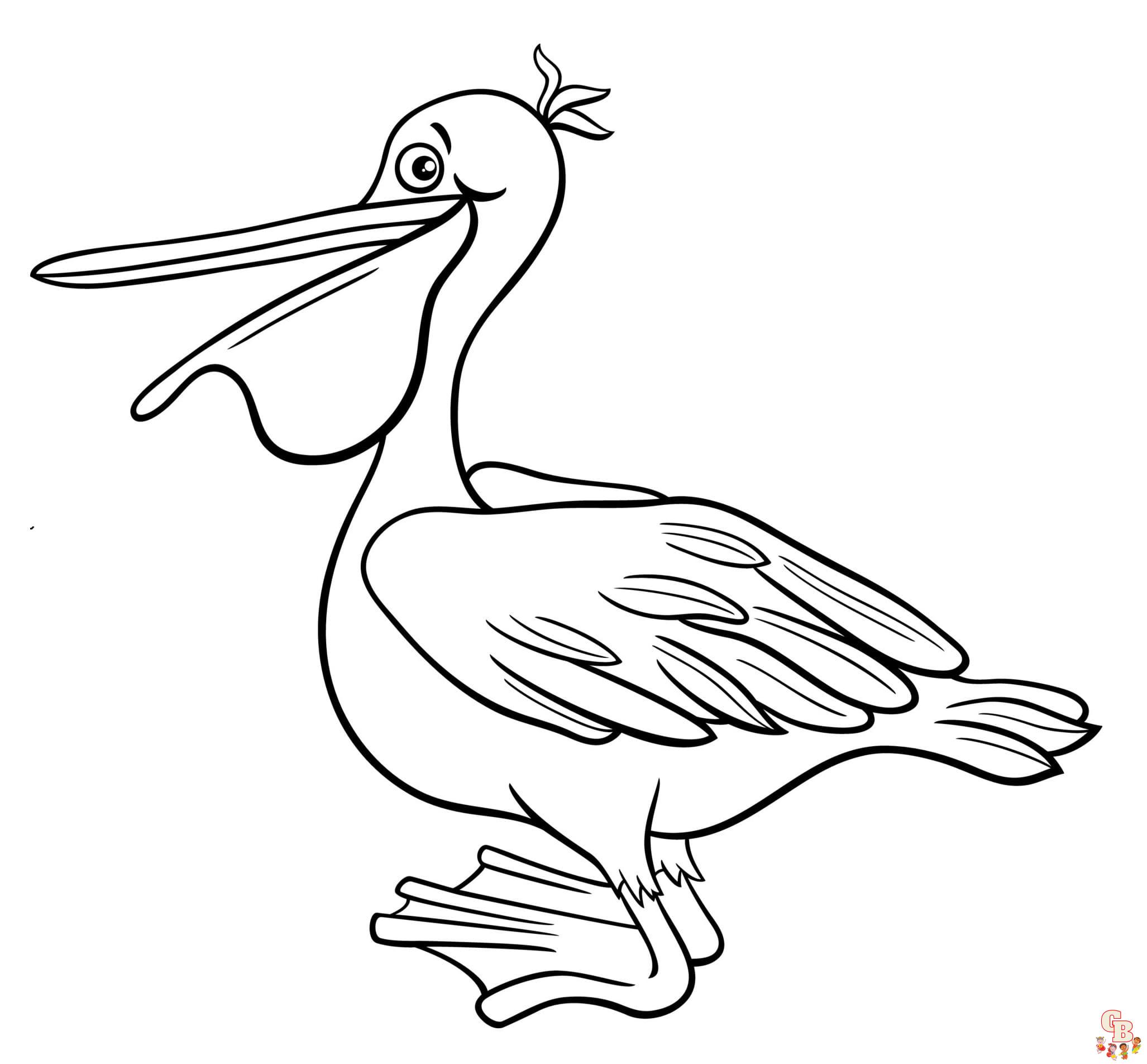 Pelican Coloring Sheets