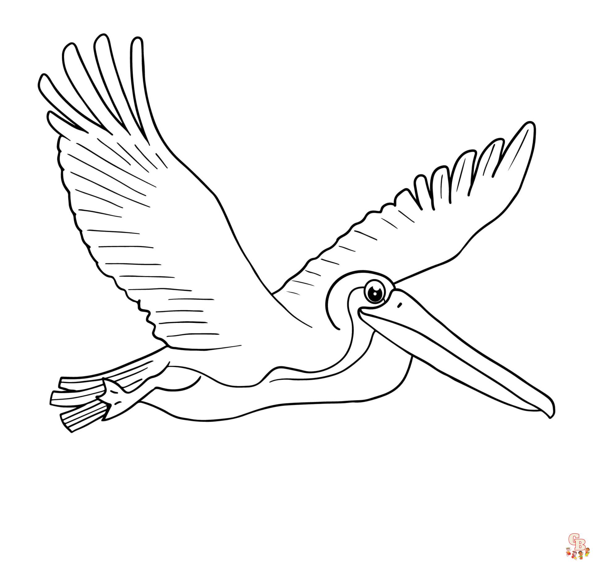 Pelican coloring pages free