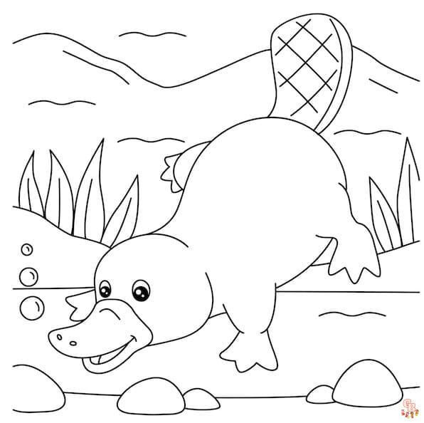 Platypus coloring pages free