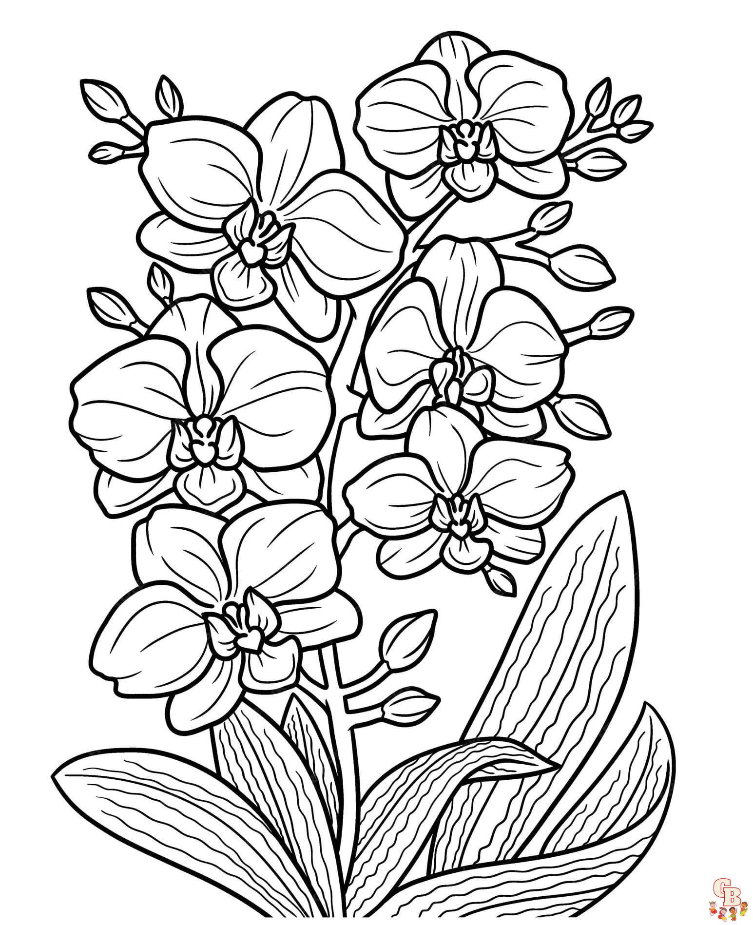 Printable Orchid coloring sheets