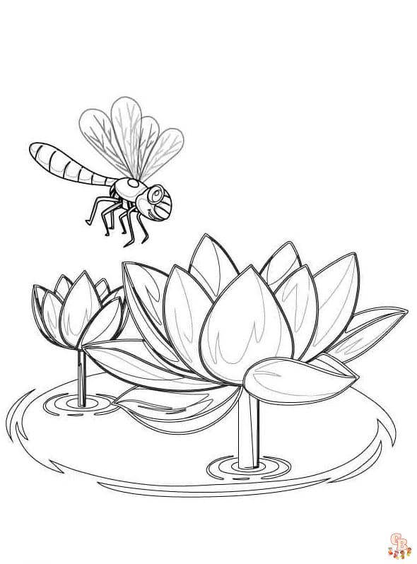 Printable lily pads coloring sheets