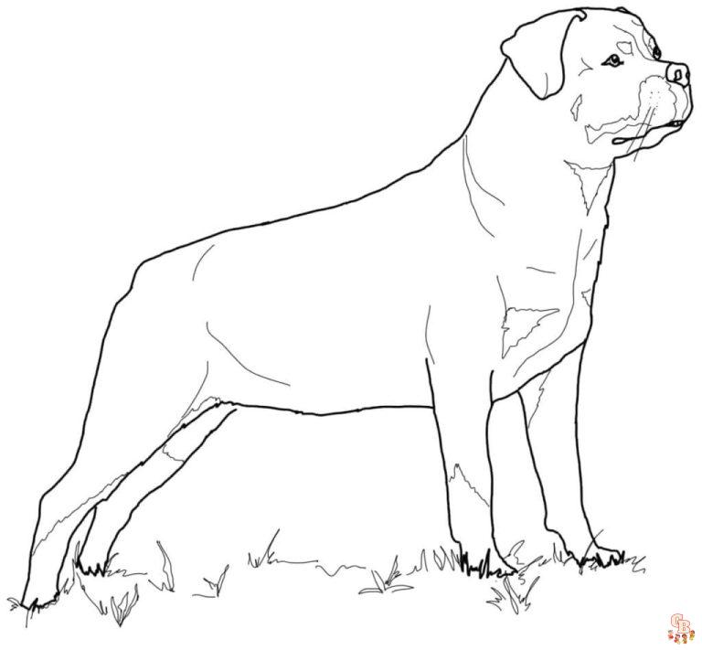 Printable Rottweiler Coloring Pages Free For Kids And Adults