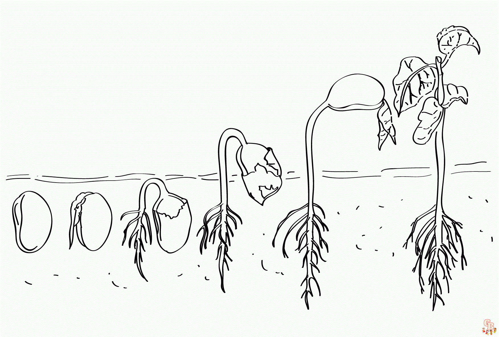 Seedling coloring pages free