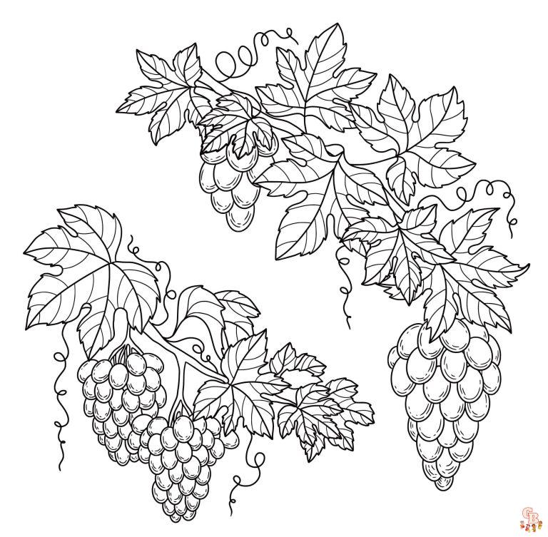 Printabe Vine Coloring Pages Free For Kids And Adults