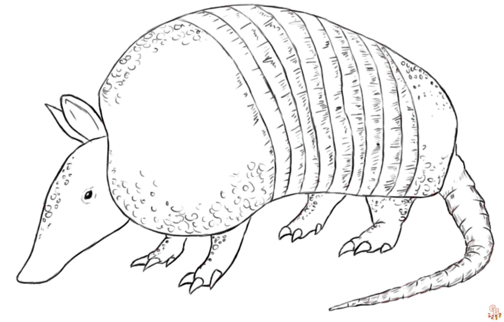 armadillo coloring pages to print