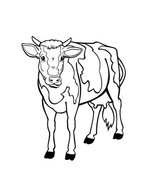Fun & Easy Printable Cow Coloring Pages for Kids