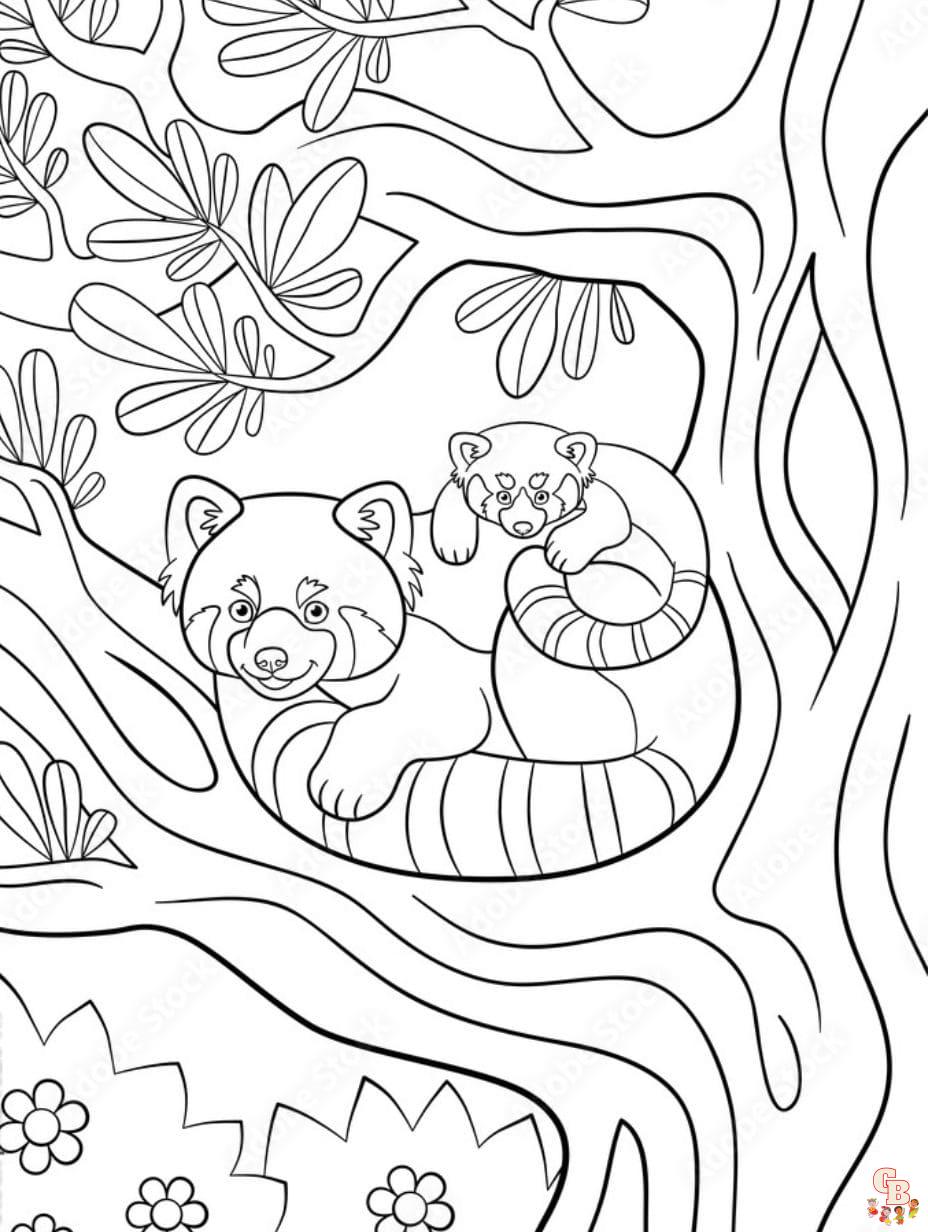 coloring pages of red pandas