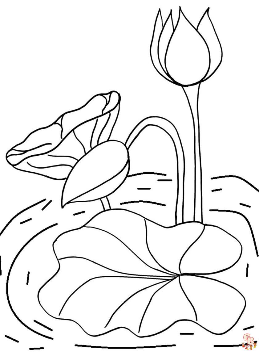 lily pads Coloring Sheets Free