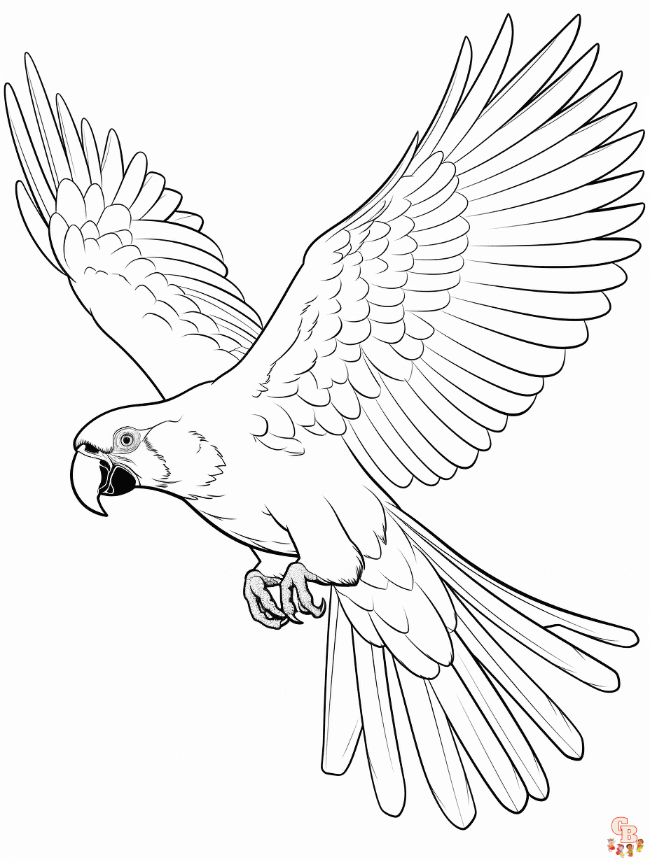 Scarlet Macaw Coloring Page with Fun Fact {FREE Printable Download!} – The  Art Kit