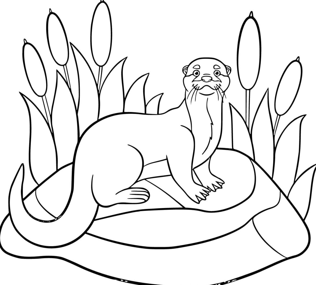 Printable Sea Otter Coloring Pages Free For Kids And Adults