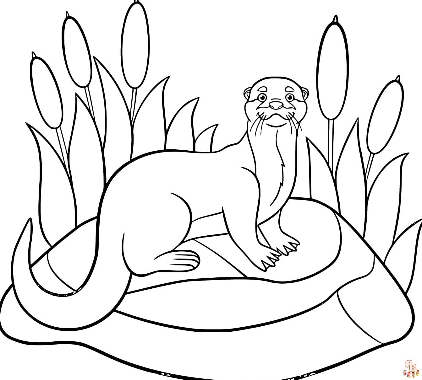 sea otter coloring page printable free