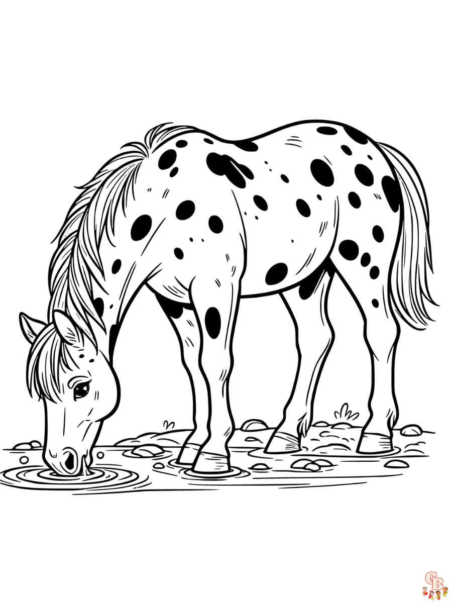 Free appaloosa horse coloring pages
