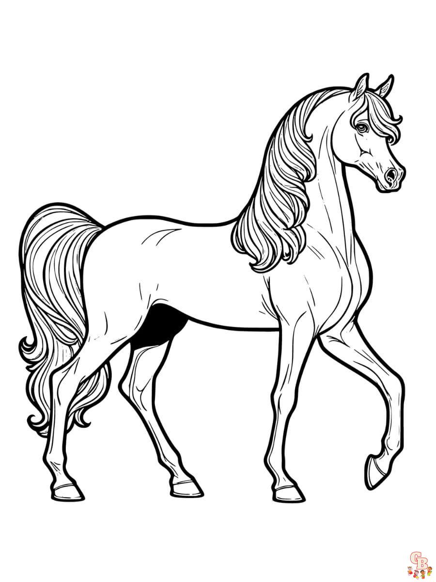 Free arabian horse coloring pages printable