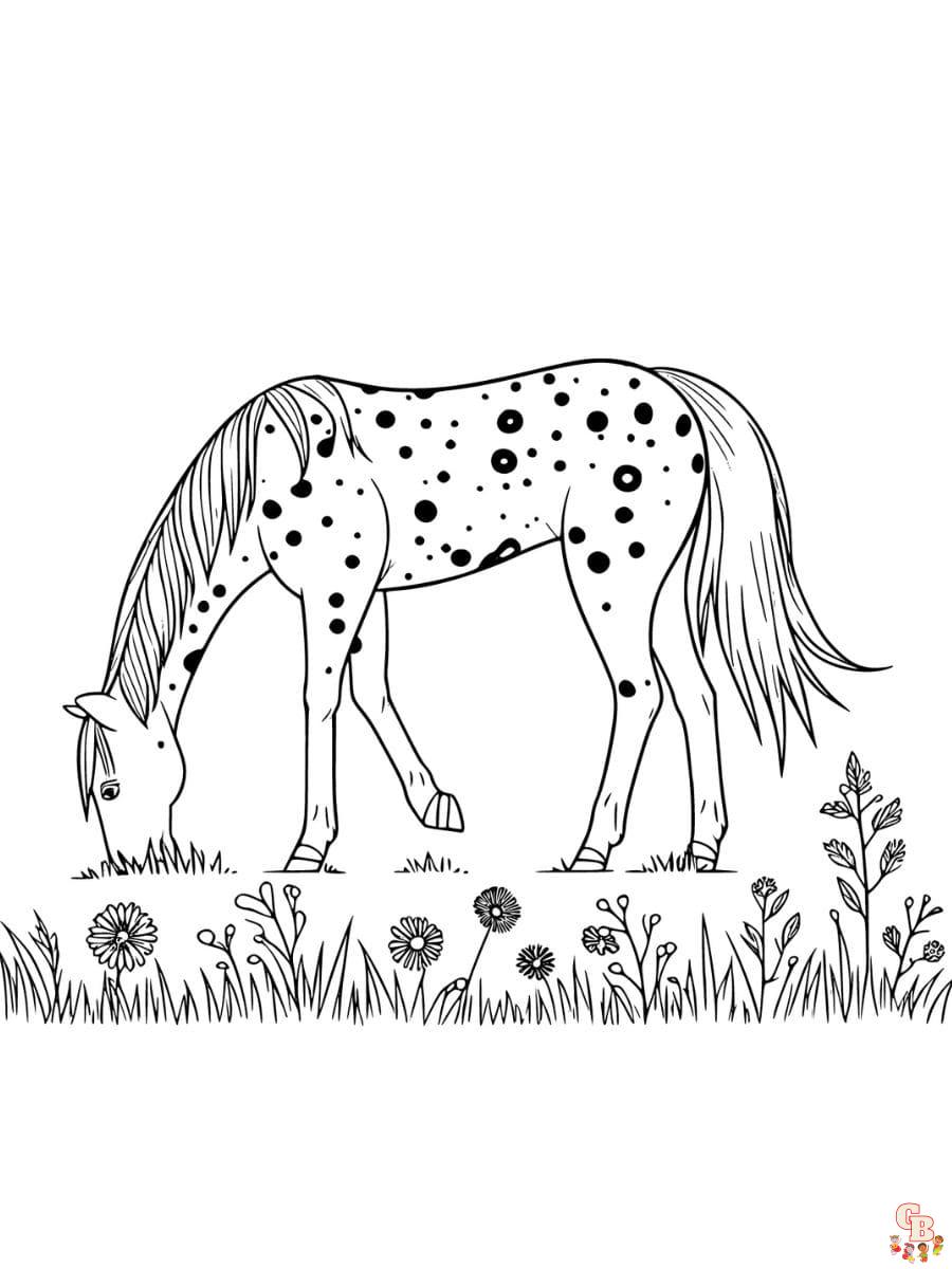 Printable appaloosa horse coloring pages