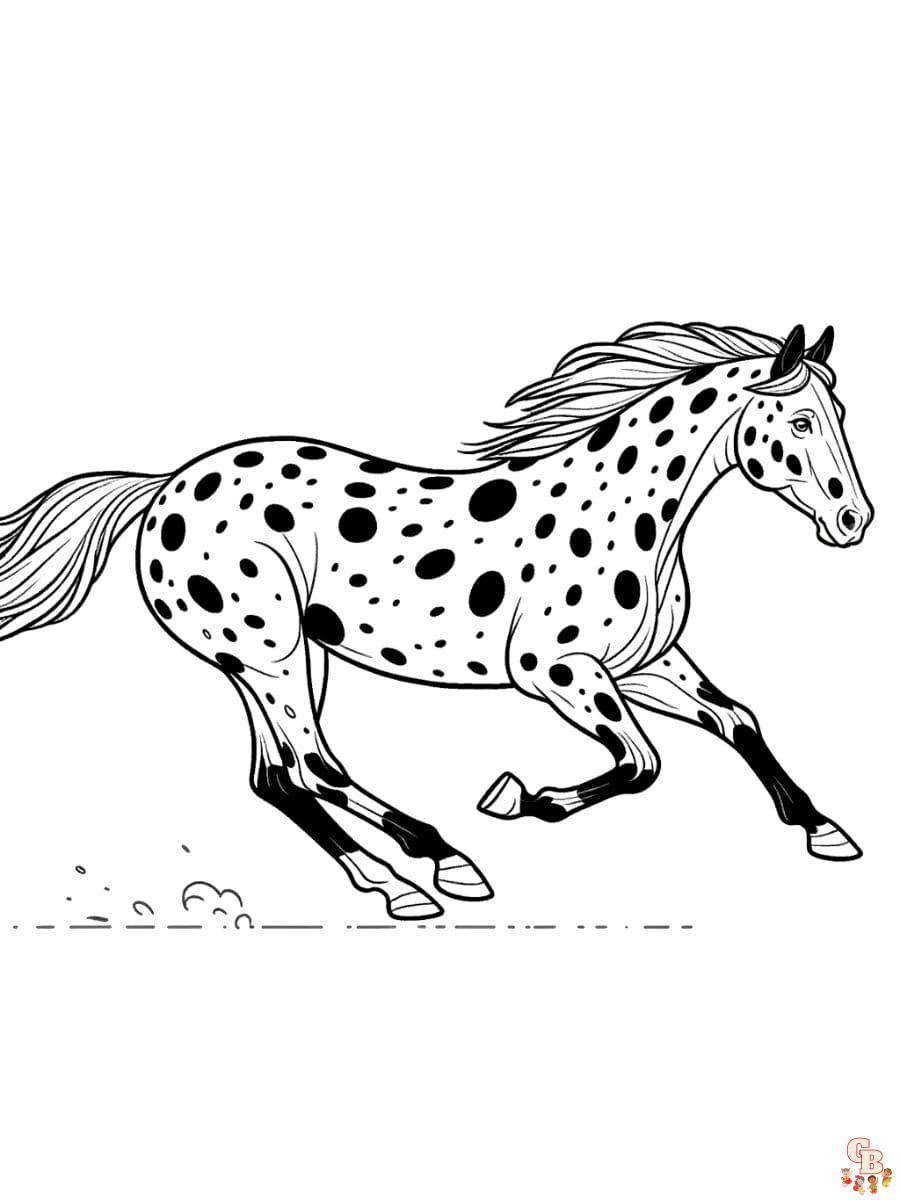appaloosa horse coloring pages free printable