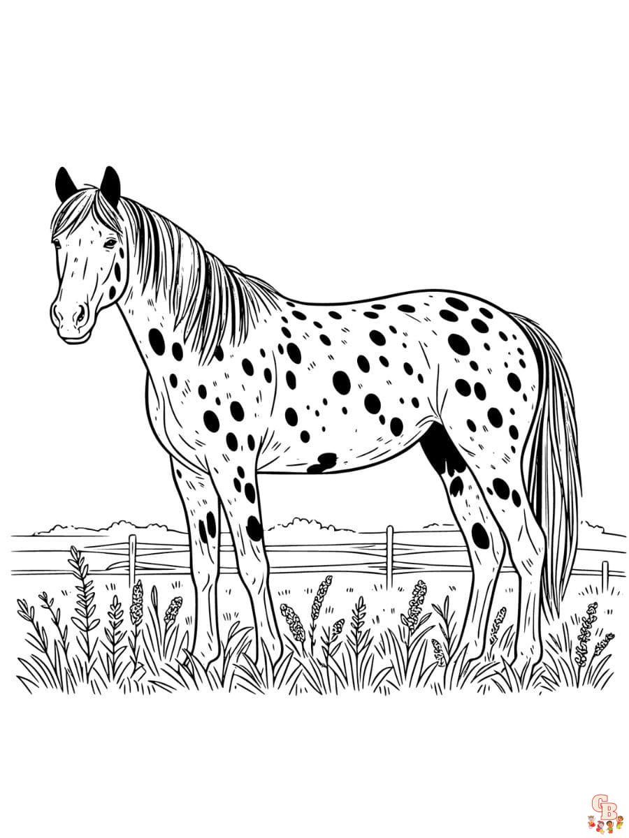 appaloosa horse coloring pages free