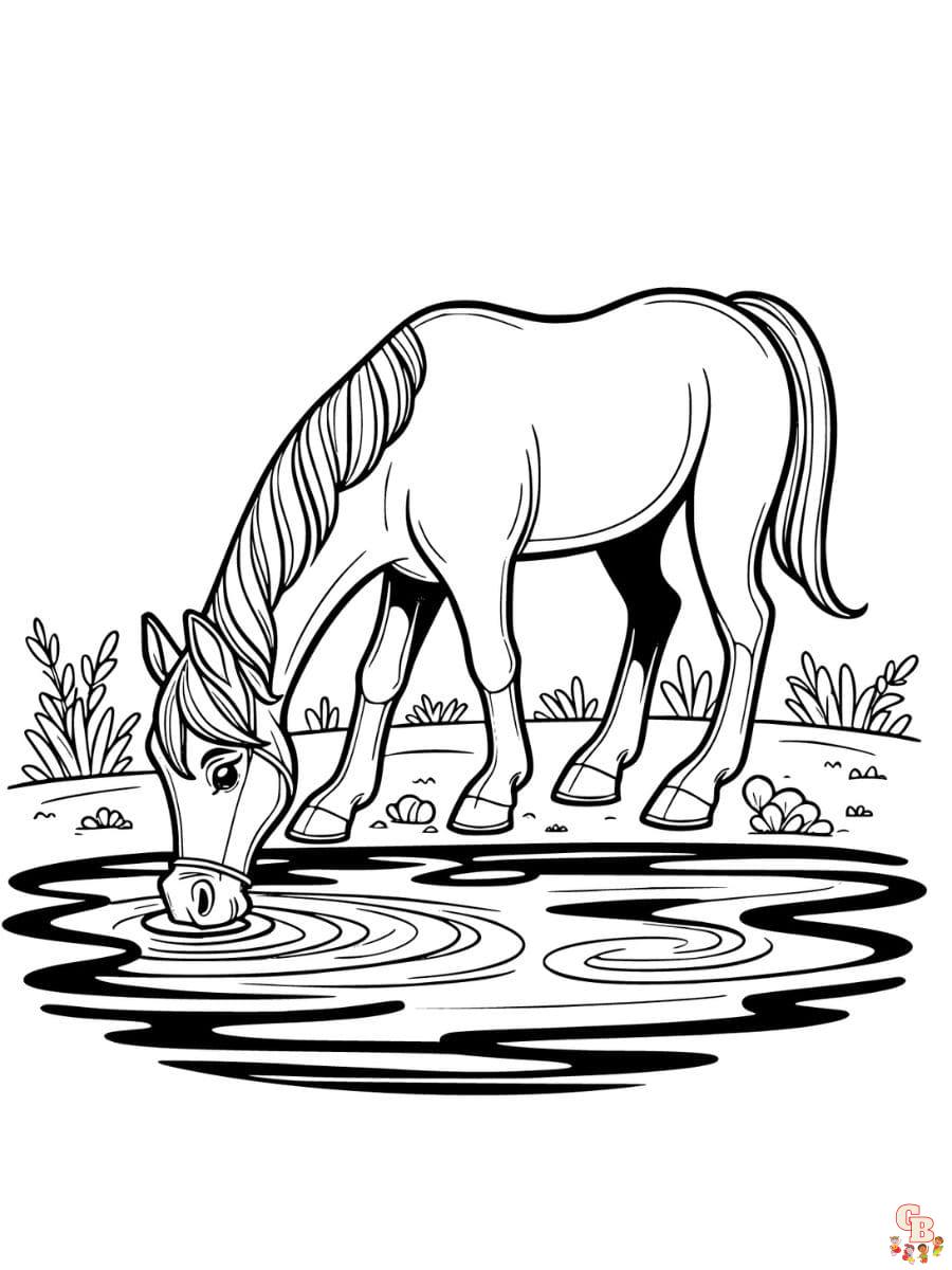 arabian horse coloring page