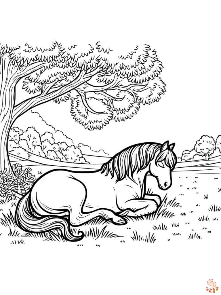 Arabian Horse Coloring Pages: Fun & Learning For Kids